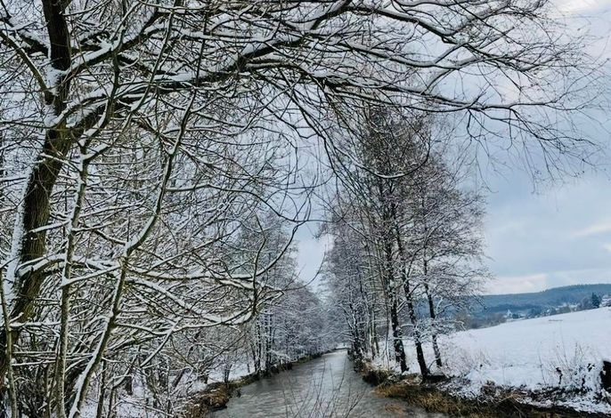 Bild 65