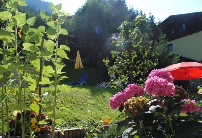 Bild 17