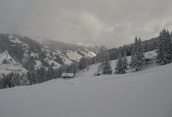 Bild 53