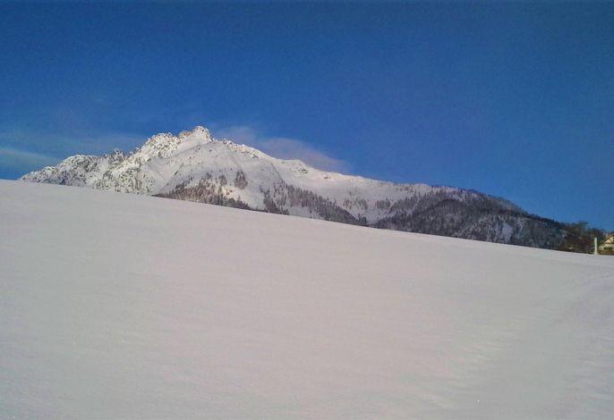 Bild 24