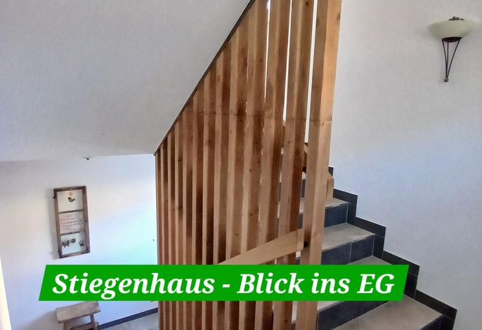 Bild 50