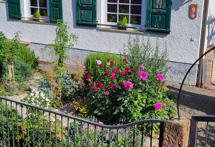 Bild 4