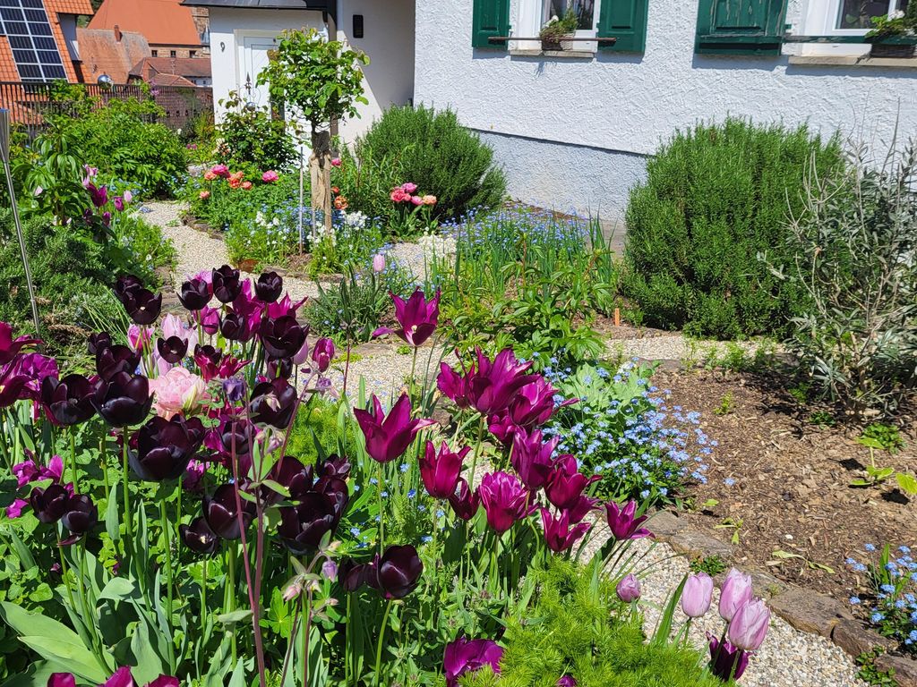 Domizil Lavendel Wasgau