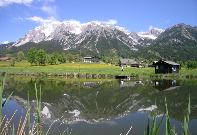 Bild 7