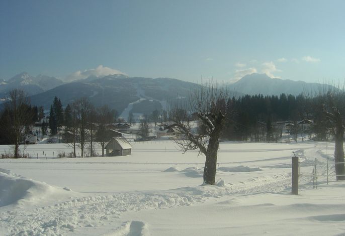 Bild 13