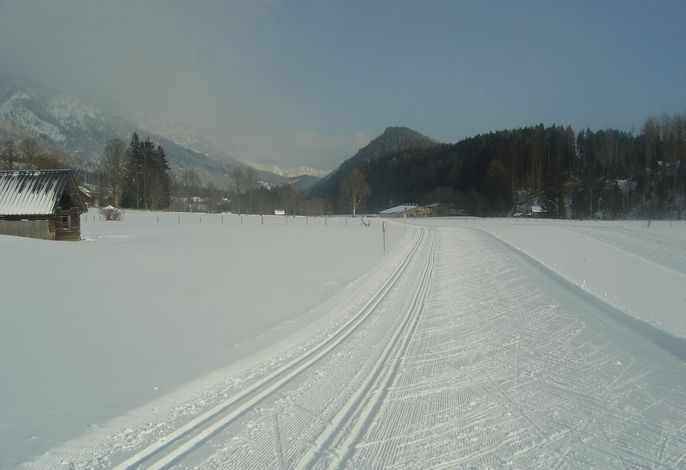 Bild 15