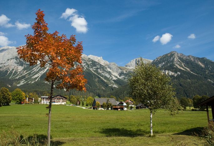 Bild 9
