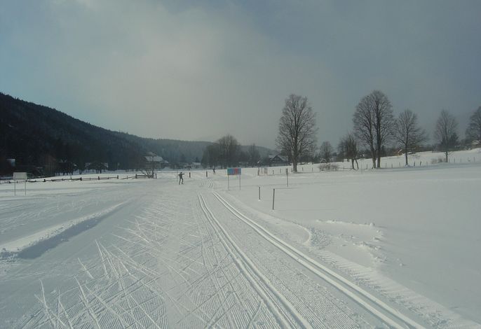 Bild 14