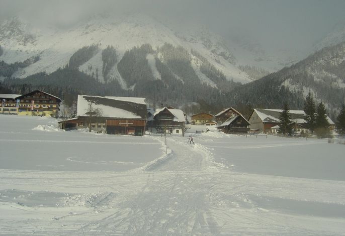 Bild 16