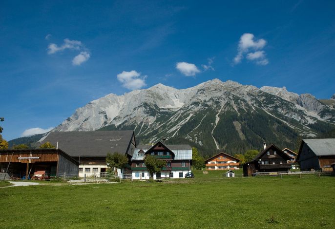 Bild 8