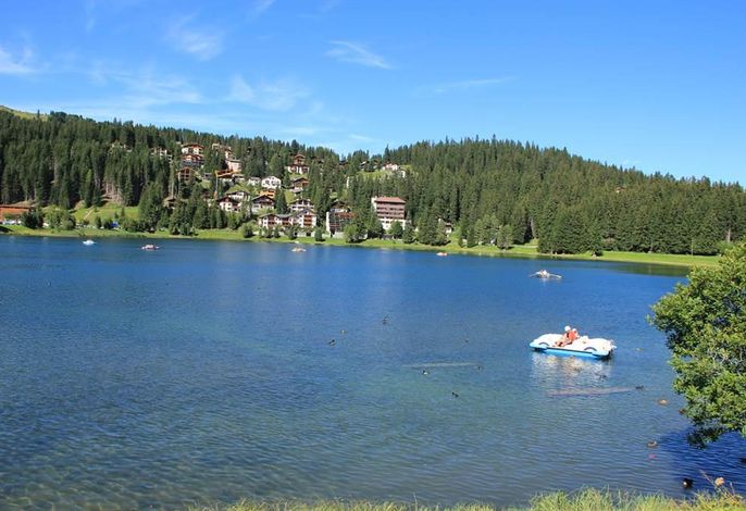 Bild 4