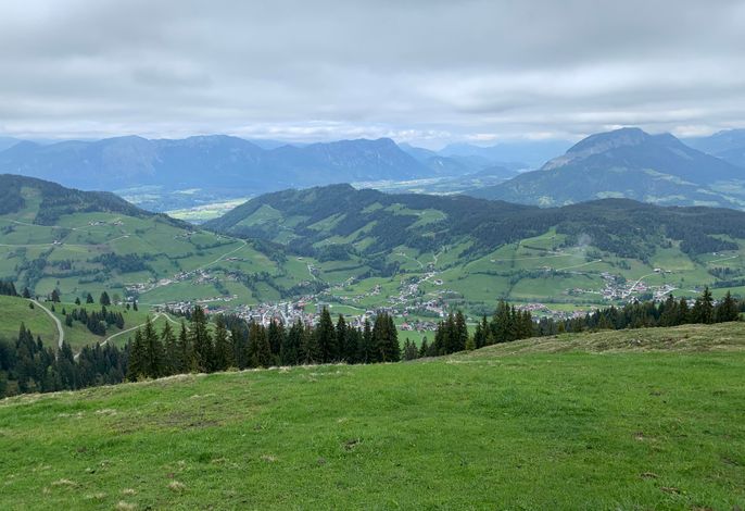 Bild 39