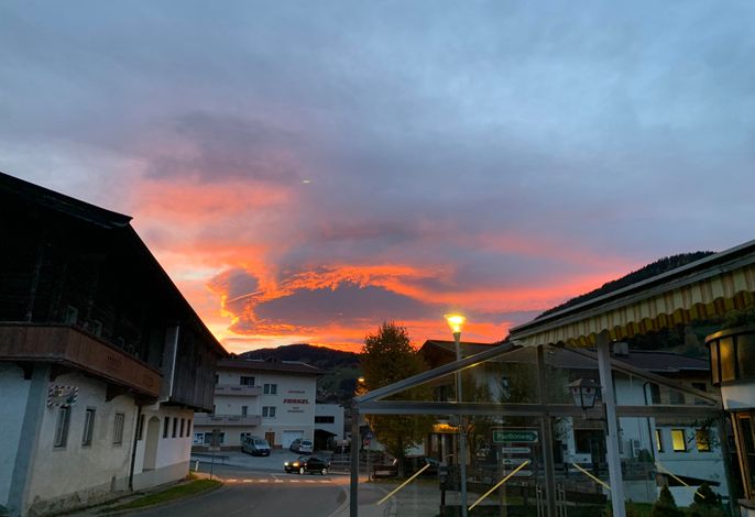 Bild 50