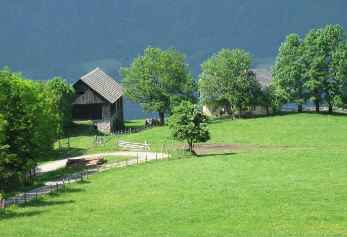 Bild 7