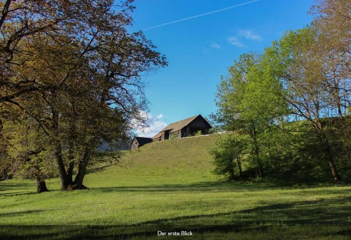Bild 14