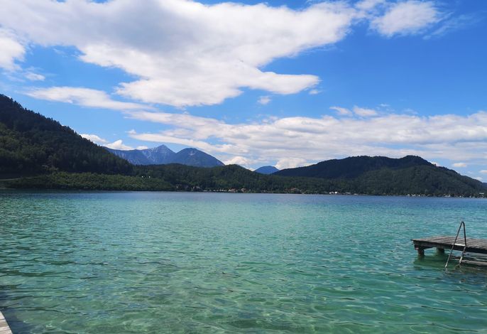 Bild 15