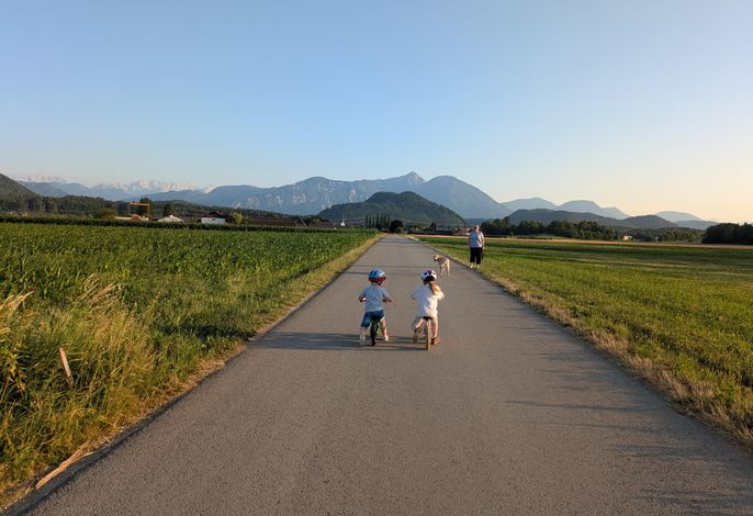 Bild 14