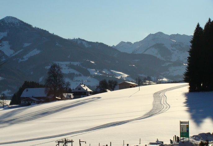 Bild 38