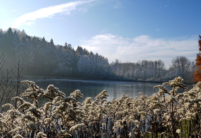 Bild 16