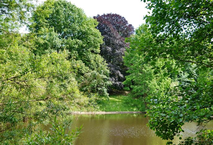 Bild 15
