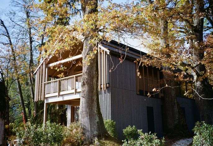Bild 16