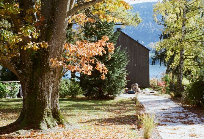 Bild 18