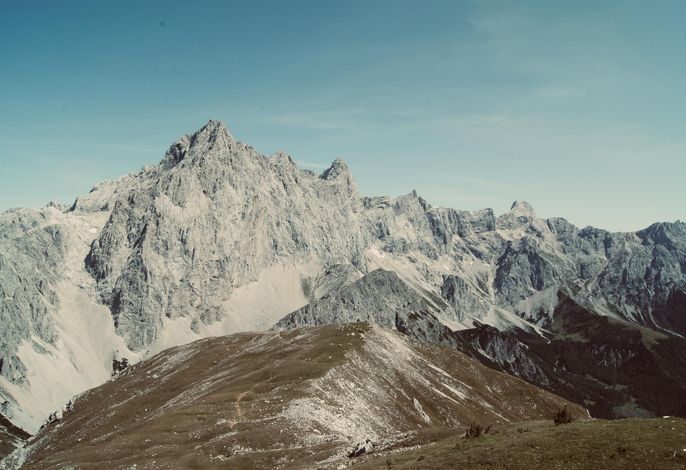 Bild 19
