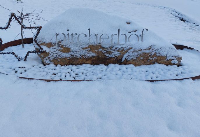 Bild 46