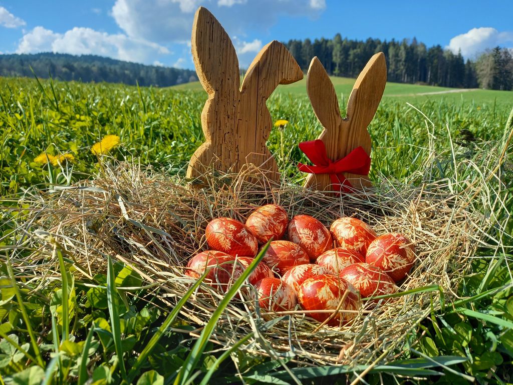 Pircherhof -"Adults only" am Biobauernhof