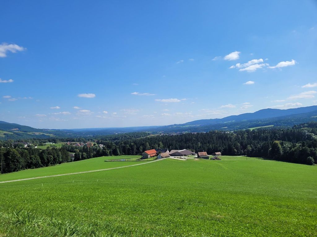 Pircherhof -"Adults only" am Biobauernhof