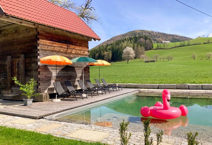 Bild 14
