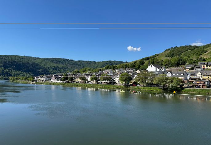 Bild 14