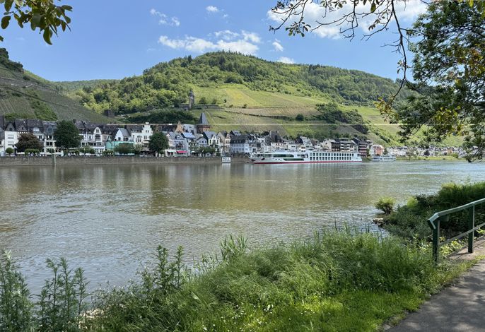 Bild 7