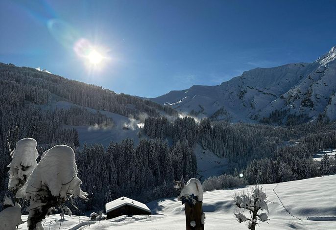 Bild 6