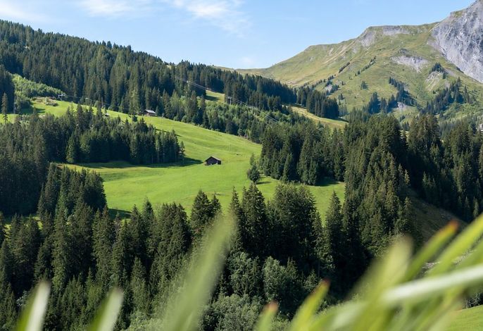 Bild 13