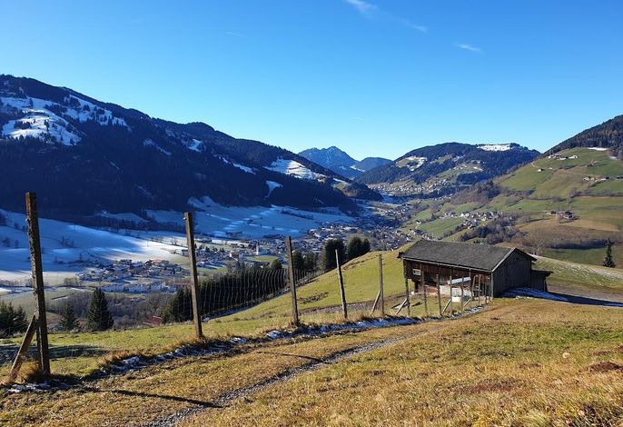 Bild 4