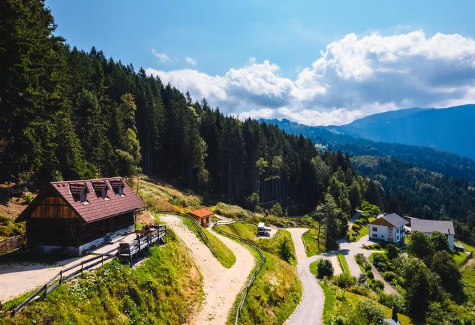 Alpen Chalet