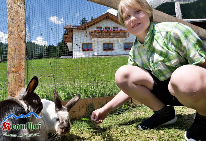 Bild 18