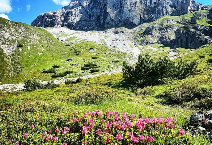 Bild 18