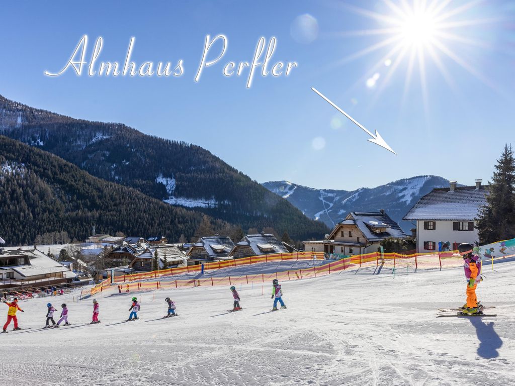 Ferien-Almhaus Perfler