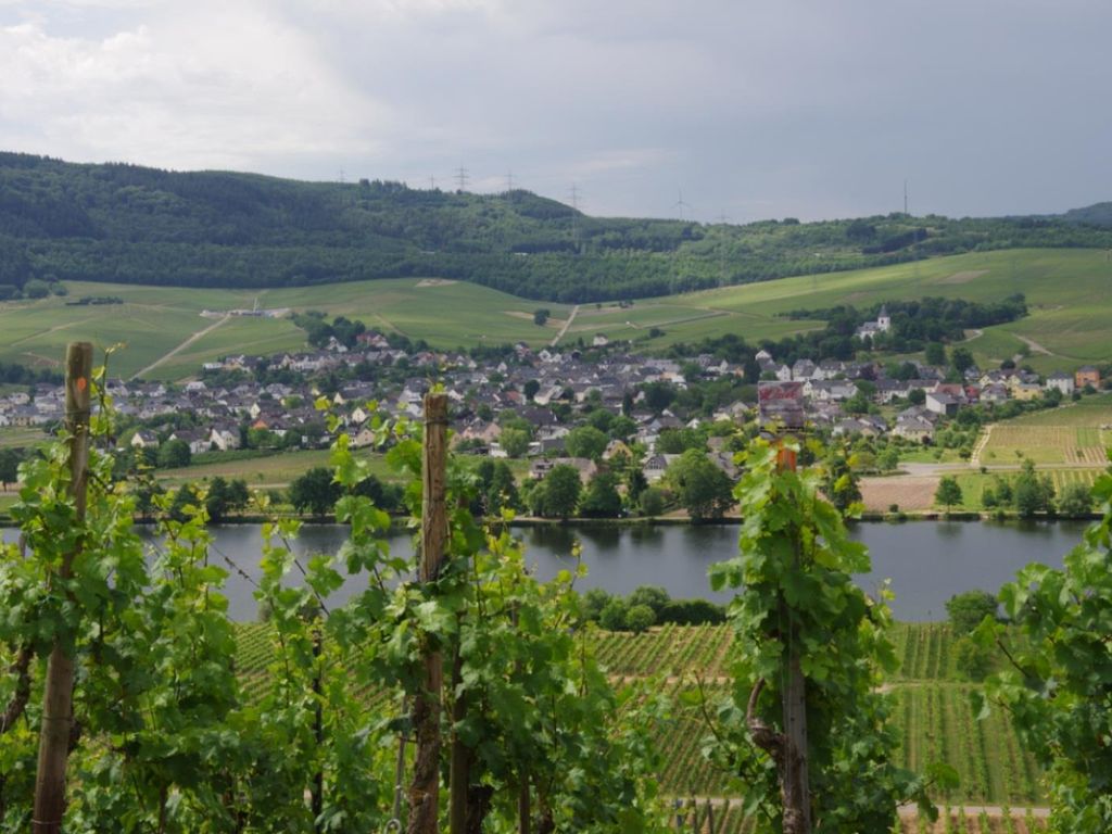 Weingut-Straußwirtschaft B. Weich