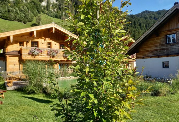 Bild 2