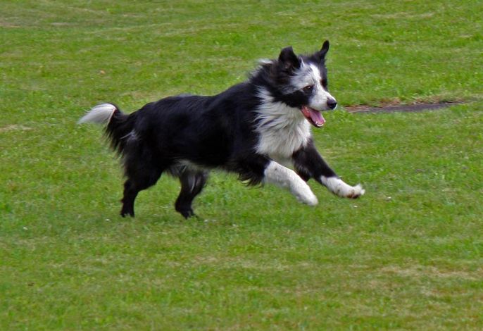 Bild 9