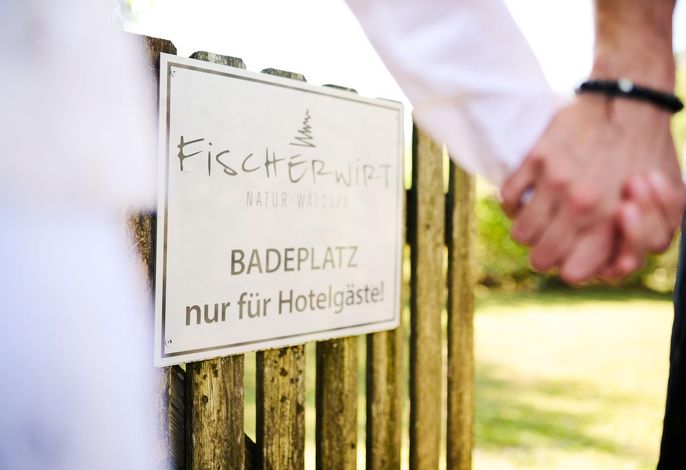 Bild 36