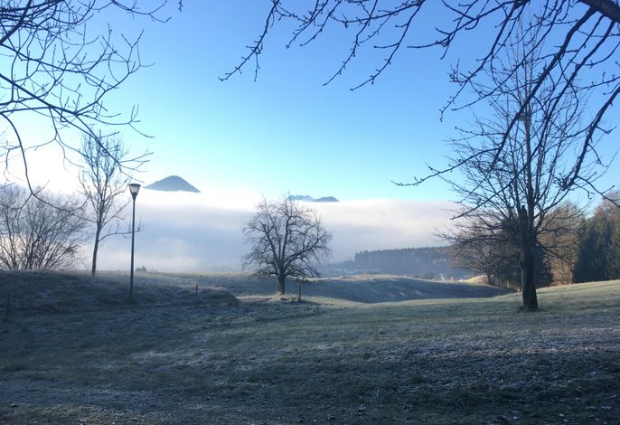 Bild 16