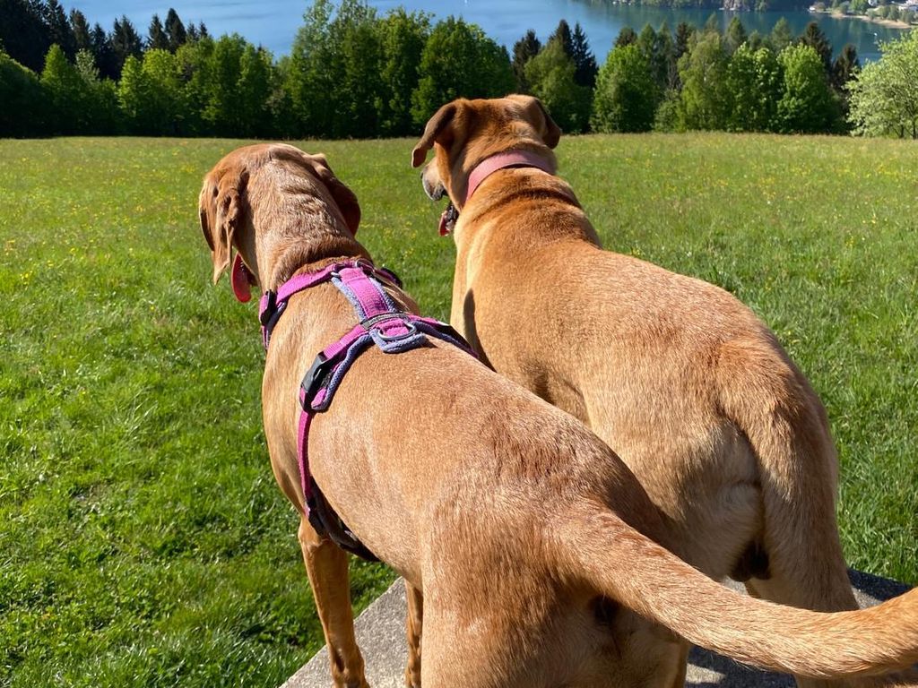 "Seeblick und mehr"