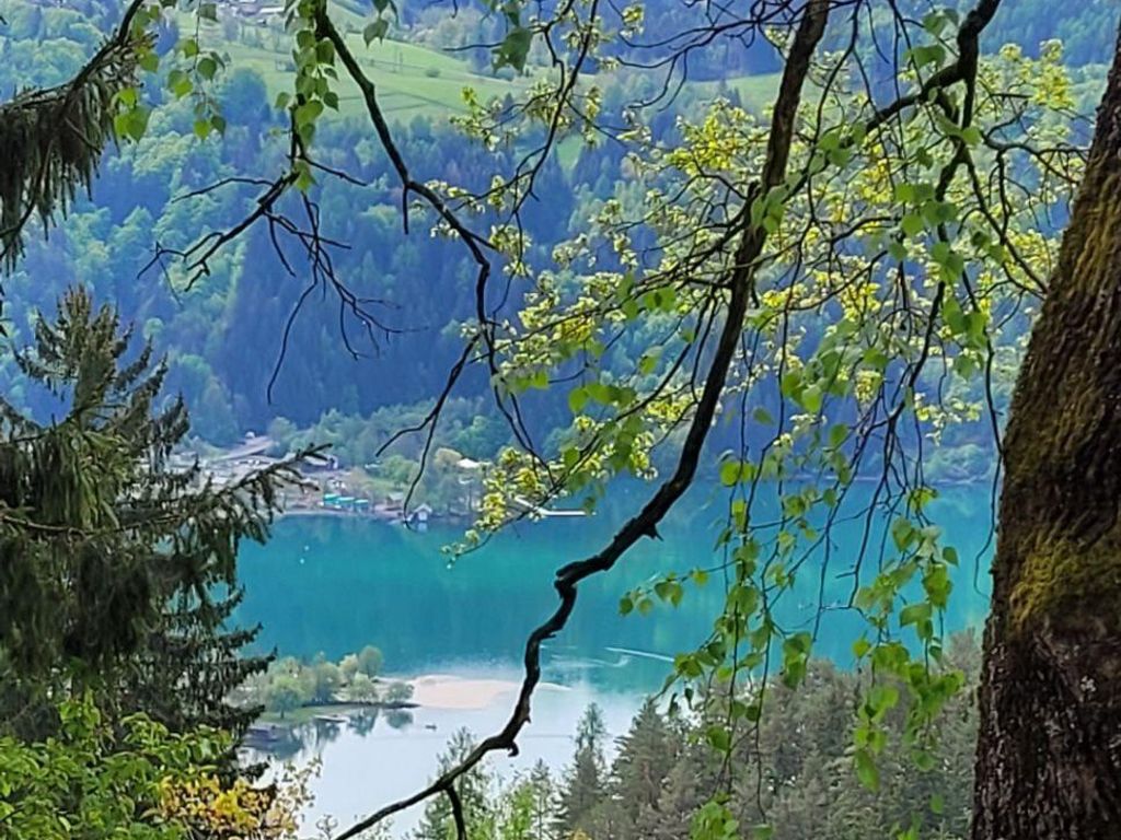 "Seeblick und mehr"