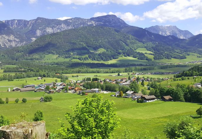 Bild 15