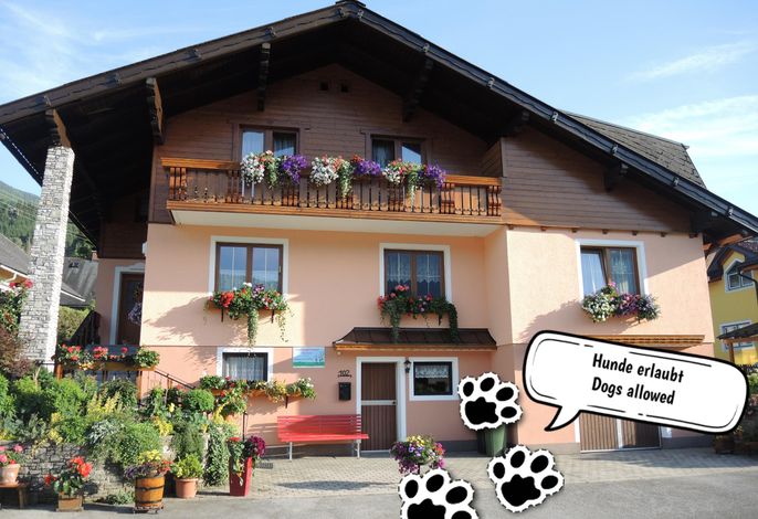 Bild 19