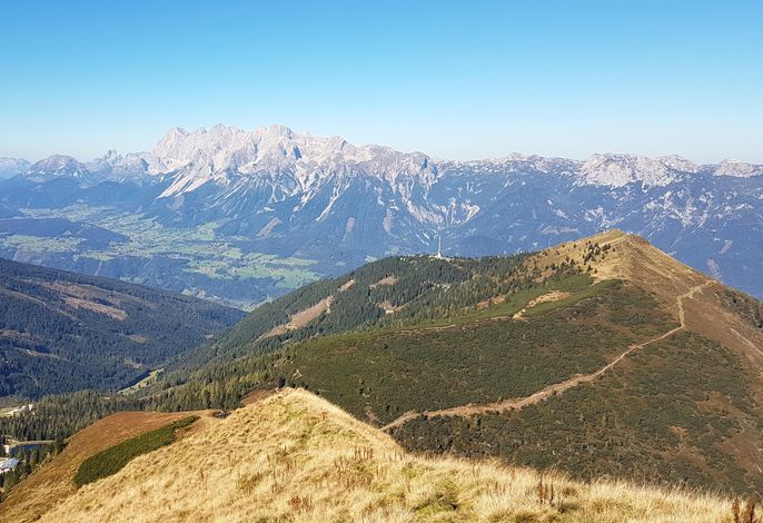 Bild 16